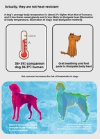 Chaleco Refrigerante para Perros, Ligero, de Malla Transpirable, de Secado Rápido, Resistente a las Manchas, con Protección Solar UPF 50+ para Todo el Cuerpo, 4 Patas, para Verano