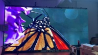 Écrans d'affichage à LED d'extérieur Pushunled avec animation pour événements scéniques Murs RVB d'intérieur et d'extérieur LED P3.91 avec contrôle intelligent