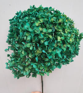 Hortensias Secas Naturales Preservadas al por Mayor de Fábrica Culinan para Decoraciones de Boda, Hortensias de Tacto Real - Product Image 2