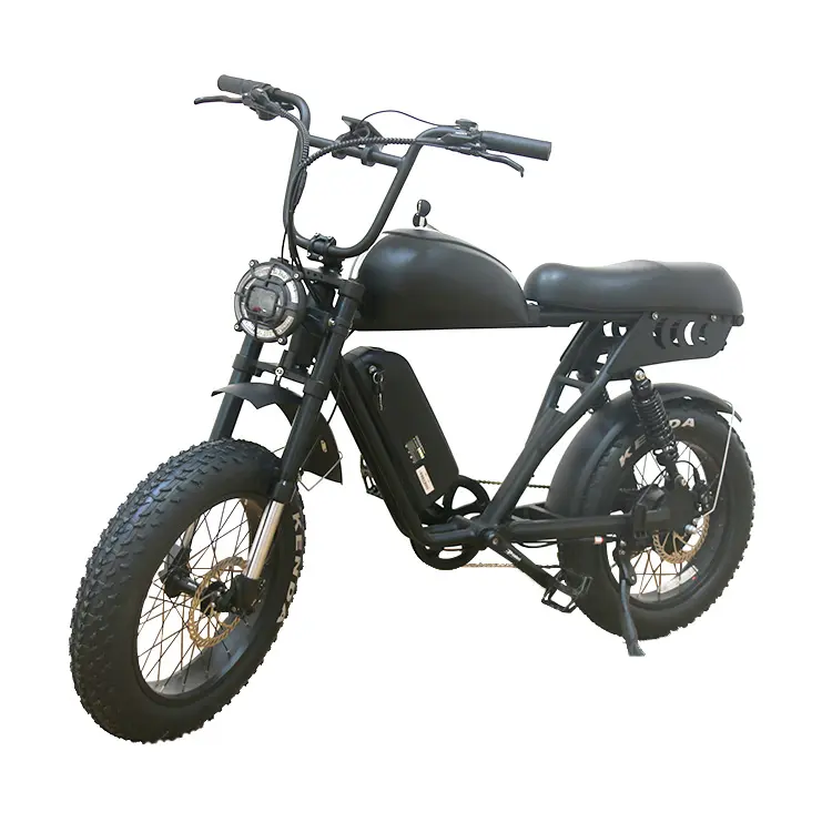 Lốp Xe Đạp Chất Béo Chạy Điện Chất Lượng Cao Chu Kỳ Cho Nam Xe Đạp Điện Ebike