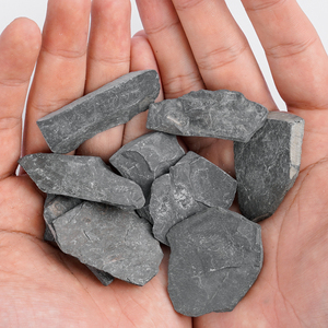 Xiangxi hóa thạch trilobite đặc biệt từ hồ Nam Trung Quốc Bộ sưu tập pha lê phong cách phong thủy - Product Image 6