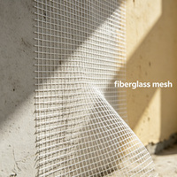 Rete in Fibra di Vetro per Progetti Edili, Rete in Fibra di Vetro Geotessile o Rete in Fibra di Vetro per Materiali da Parete, Rete in Fibra di Vetro