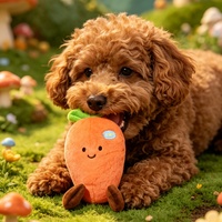 Schattig simulatie fruit piepend kauwspeeltje voor honden