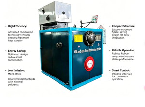 Chaudière à eau chaude sous vide au mazout/gaz WNS avec alarme de panne intelligente et <span class=keywords><strong>entretien</strong></span> facile - Product Image 5