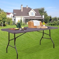 Table en plastique de pique-nique de camping confortable pliante légère populaire de mode pour le balcon