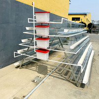 Cages en Batterie pour Volaille Type A, Cages à Pondre pour Poules Pondeuses en Élevage Avicole