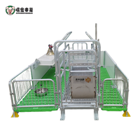 Cages de maternité complètes pour truies, fabriquées en Chine, pour l'accouchement et l'élevage de porcs, vente directe pour usage agricole