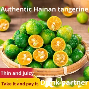 1 Verse Citroen Verse Melk Thee Mandarijnschil Hainan Groene Kumquat 5 Kleine Groene Limoenen-Seizoensgebonden Puree Bulkverpakking Gekleurd - Product Image 5