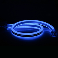 Bande lumineuse intérieure et extérieure décoration de bâtiment 24V/120V/230V LED corde lumière RGB 5050 PWM DMX Duplex 11x24mm Double côtés Neon Flex