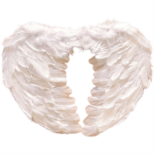 All'ingrosso rosso tinto ali <span class=keywords><strong>d</strong></span>'<span class=keywords><strong>angelo</strong></span> piume per il carnevale di Halloween Cosplay decorazioni del partito - Product Image 3