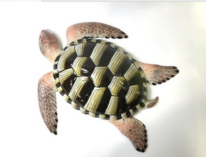 Mini tortue en <span class=keywords><strong>mousse</strong></span> 3d, Micro paysage, décoration <span class=keywords><strong>de</strong></span> <span class=keywords><strong>jardin</strong></span> <span class=keywords><strong>de</strong></span> maison, bonsaï, jouet Miniature en résine, ornements artisanaux, décor d'<span class=keywords><strong>aquarium</strong></span> DIY - Product Image 4