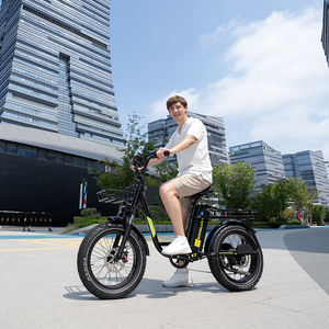 Vélo électrique pliable KOOLUX X7, best-seller en Europe, stock disponible en entrepôt, batterie lithium 48V 25AH, assistance au pédalage électronique au moyeu arrière - Product Image 2