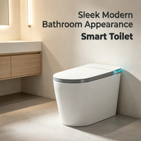 WC intelligent HR à chasse siphonique, eau chaude instantanée, double circuit d'eau, coque ABS, tension de prise personnalisable pour usage commercial et décoratif