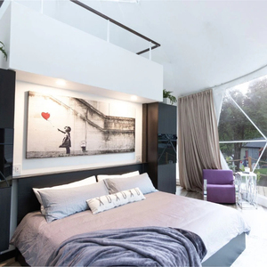 8m Luxury Steel <b>Frame</b> Geodesic Igloo House Glamping Dome <b>Tent</b> Hotel With Stove YT-DL-1017 Dome <b>Tent</b> YT-DL-1017 YT-DL-1017 YT-DL- - Product Image 1
