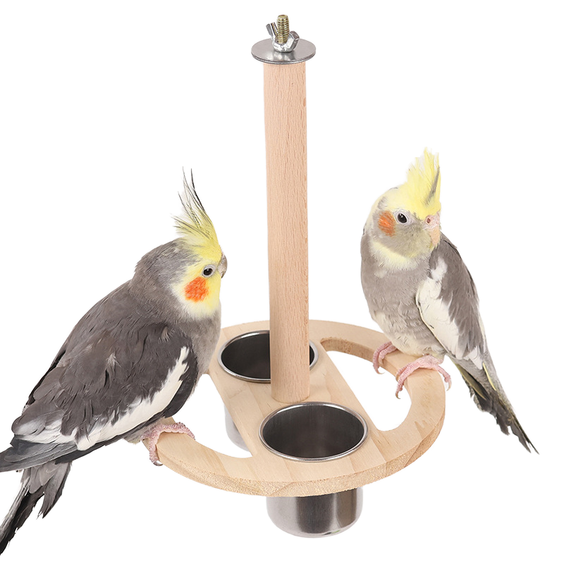 parrot steel bowl hanging