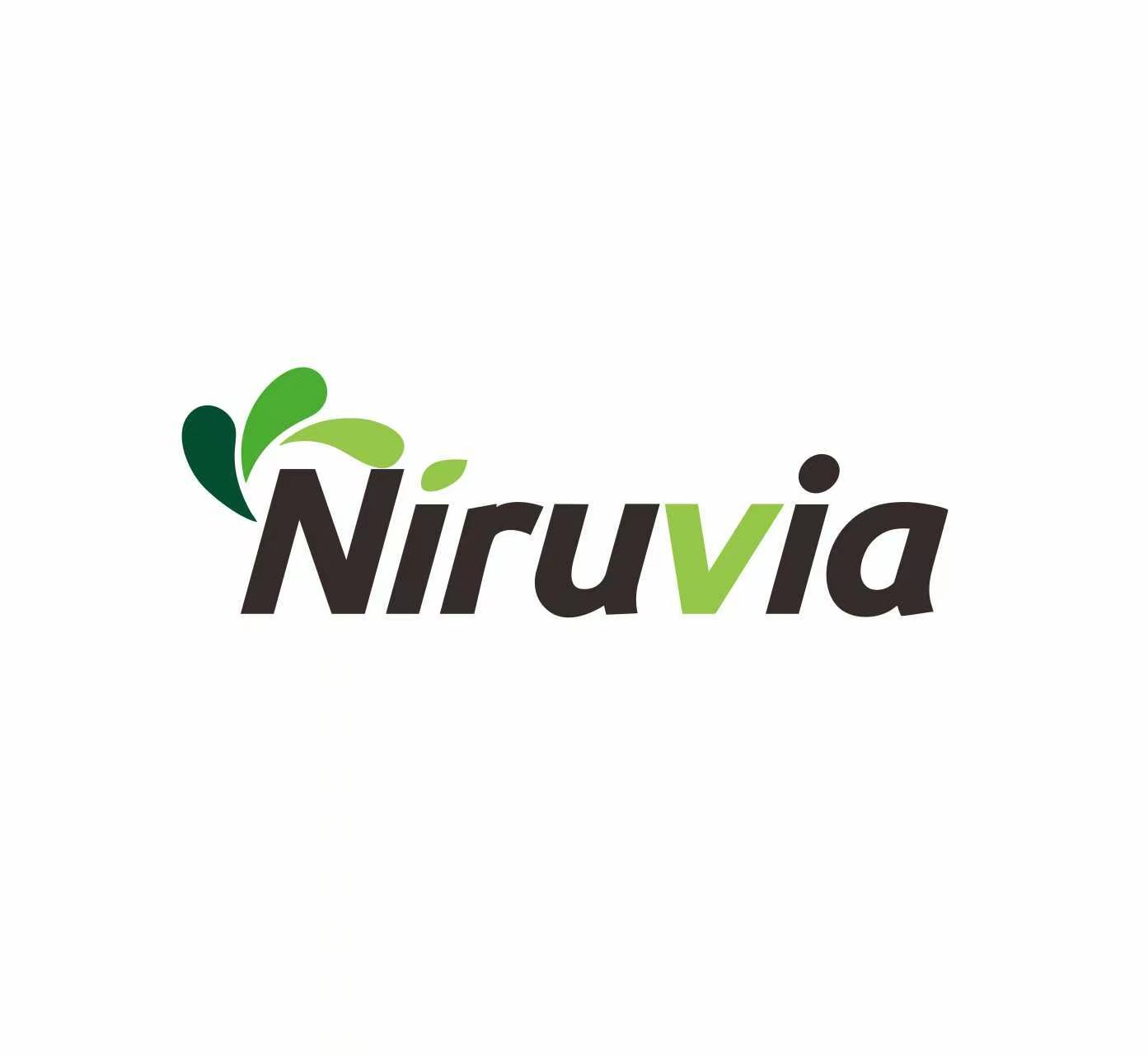 Xi'an Ningrui Biotechnology Co., Ltd. logo