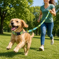 Ensemble collier et laisse pour chien, motif bohème moderne et mignon, imprimé tribal géométrique assorti, réglable, en nylon tissé, doux et durable, pour petits chiens
