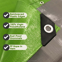 Bâche PE enduite unie imperméable OEM/ODM du fabricant chinois pour garçons et filles - Utilisation extérieure, rideau anti-UV, résistant aux déchirures