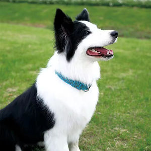 Collar de Gato LED Ajustable con Diseño de Leopardo, Moderno, de Poliéster Estampado, Venta al Por Mayor del Fabricante - Product Image 3