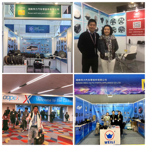 Regulador Bos 1986 AE0100, Accesorio para Vehículos Refrigerados, Accesorios de Aire Acondicionado, Piezas de Equipos de Refrigeración y Calefacción - Product Image 6