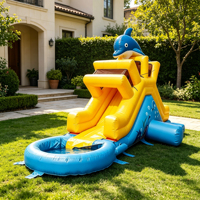 Toboggan aquatique gonflable Dolphin avec piscine, toboggan aquatique commercial en PVC pour enfants, location pour fêtes