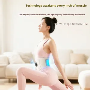 Массажер для талии EMS с подогревом, перезаряжаемый, с функцией тепловой компрессии, для массажа матки, премиум-качество, YM-03, Китай - Product Image 2