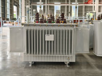 Transformateur triphasé immergé dans l'huile 100 KVA 200 KVA 315 KVA 380V 35KV 11KV 50Hz pour distribution d'énergie