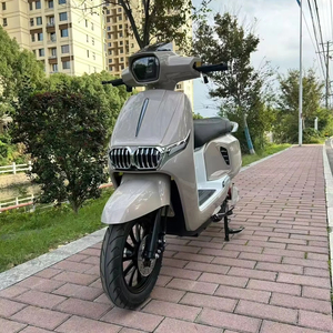 Motocicleta Eléctrica Personalizable de 1200W con Motor sin Escobillas, Batería de Litio de 60V, Alta Velocidad de 52km/h, Largo Alcance, 150kg, Premium - Product Image 2