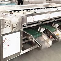 YOUBAN Automatische Fruitgewichtsorteermachine Appel Avocado Tomaat Gewichtsselectiemachine voor Fruitverwerkingslijn
