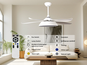 48-inch 5 ABS Blades DC động cơ LED quạt trần với ánh sáng điện làm mát không khí ventilador de techo điều khiển từ xa cho khách sạn - Product Image 2