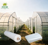 Film de serre 250 microns pour pépinière, couverture plastique transparente anti-buée pour favoriser la croissance saine des plantes