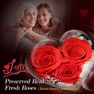 Regalos románticos <span class=keywords><strong>de</strong></span> San Valentín, rosas preservadas para siempre con collar <span class=keywords><strong>de</strong></span> plata esterlina regalos del Día <span class=keywords><strong>de</strong></span> la madre artículo <span class=keywords><strong>de</strong></span> regalo 2024 - Product Image 3