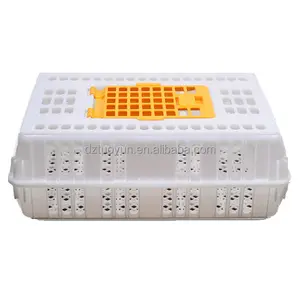 wholesale plastic chicken crates plastic transport boxes with lock