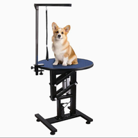 Table de toilettage pour chien pliable en acier inoxydable de haute qualité, écologique, équipement de toilettage pour petits chiens