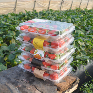 10/12/15/20 grilles boîtes d'emballage de fruits en plastique emballage à doublure souple protégeant la livraison de fraises compartiment transparent - Product Image 3