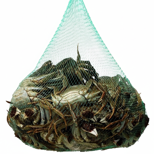 Bolsas de malla de plástico para hervir mariscos para cangrejos, cangrejos, mariscos, cocina verde PCS - Product Image 1