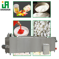 Ligne de production complète de poudre de riz instantanée par extrusion automatique, extrudeuse à double vis, poudre nutritionnelle, machine pour aliments pour bébés