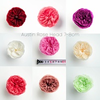 Matériaux de Lovebay DIY Cadeaux de Saint Valentin OEM Roses éternelles Fleurs séchées Têtes de roses Austin Têtes de fleurs préservées pour toujours