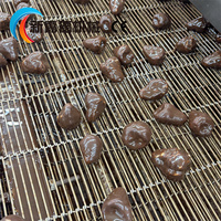 Machine automatique d'enrobage au chocolat pour la transformation des noix, des biscuits, des fruits et des aliments secs