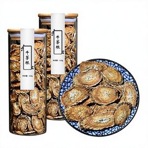 Chá de Raiz de Bardana Natural em Fatias Secas Rico em Inulina Apoia a Saúde Intestinal e a Digestão - Product Image 2