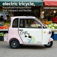 Tricycle électrique à énergie nouvelle avec batterie au lithium et amortissement hydraulique fermé