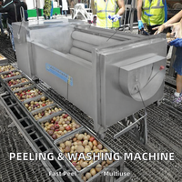 Multifunctionele Rode Biet Schil- en Wasmachine Radijs Wasmachine Aardappelborstel Wasmachine 380V 2.2KW