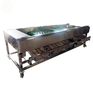 Machines de tri et de calibrage des agrumes, pommes de terre, avocats, mangues, oignons et citrons à prix d'usine - Product Image 2