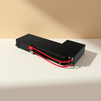 Pack de batteries LiFePO4 personnalisé 12V-1000V 10Ah-1000Ah, qualité industrielle, batterie de stockage au lithium multi-scénarios