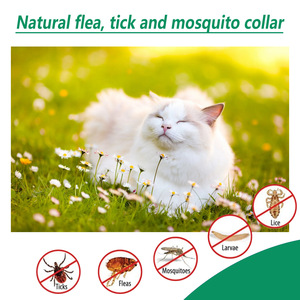 Spray anti-tiques et puces pour chiens et chats (60 ml) pour traiter les <span class=keywords><strong>poux</strong></span> et les acariens - Product Image 4