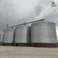 Offre Spéciale : Silo à fond plat en acier ondulé galvanisé à chaud de marque TSE pour le blé, avec IoT et garantie d'un an