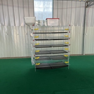 Poulaillers commerciaux <span class=keywords><strong>de</strong></span> grande capacité pour la production d'œufs, 330-350 <span class=keywords><strong>cailles</strong></span> - Product Image 5