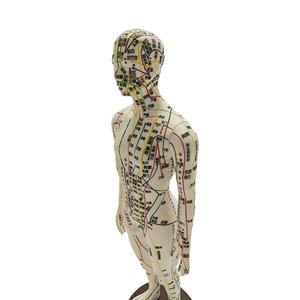 चीनी एक्यूपंक्चर प्रशिक्षण मॉडल सिलिकॉन एक्यूपंक्चर और मोक्सीबस्टन मॉडल - Product Image 6