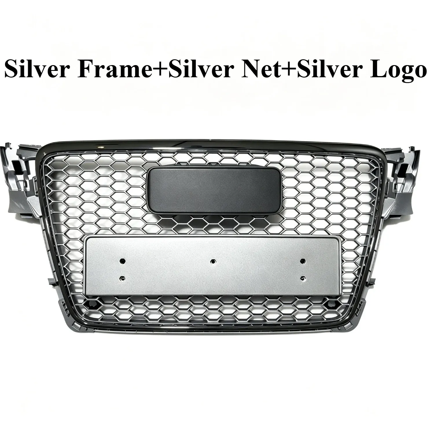 Silver Frame B