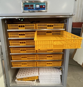 Máy ấp trứng 1056 tự động hoàn toàn Máy ấp trứng quy mô nhỏ - Product Image 6